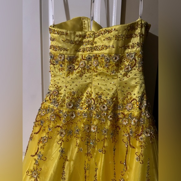 Bicici Prom/Graduation Dress - Picture 10 of 12